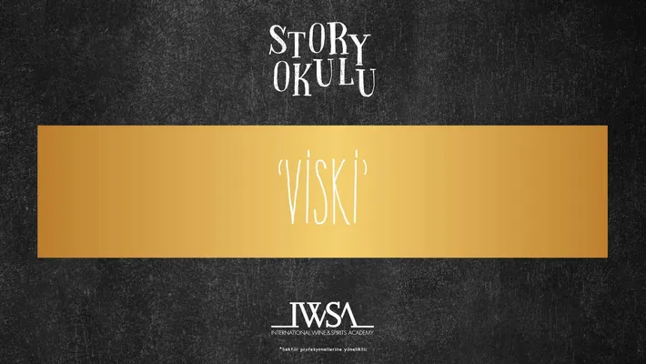 Viski Story School