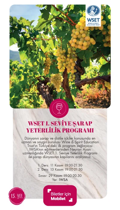 WSET-1. Seviye Şarap Yeterlilik Programı-Kasım 2024