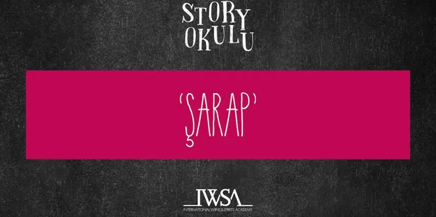 Şarap Story School