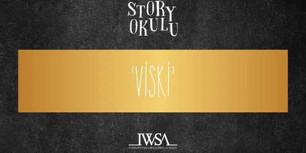 Viski Story School