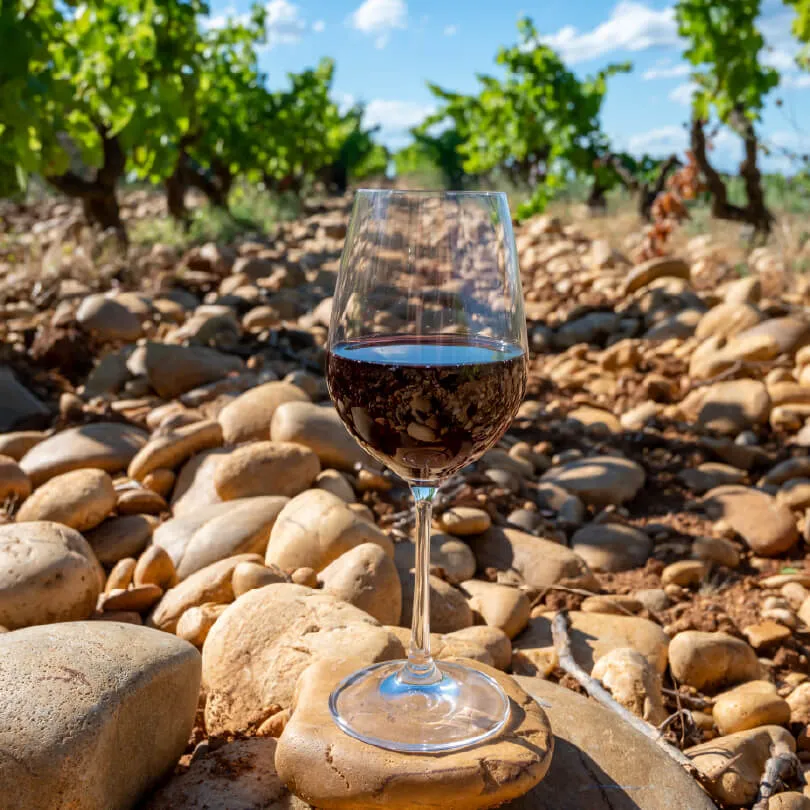 7 MADDEDE CHÂTEAUNEUF-DU-PAPE